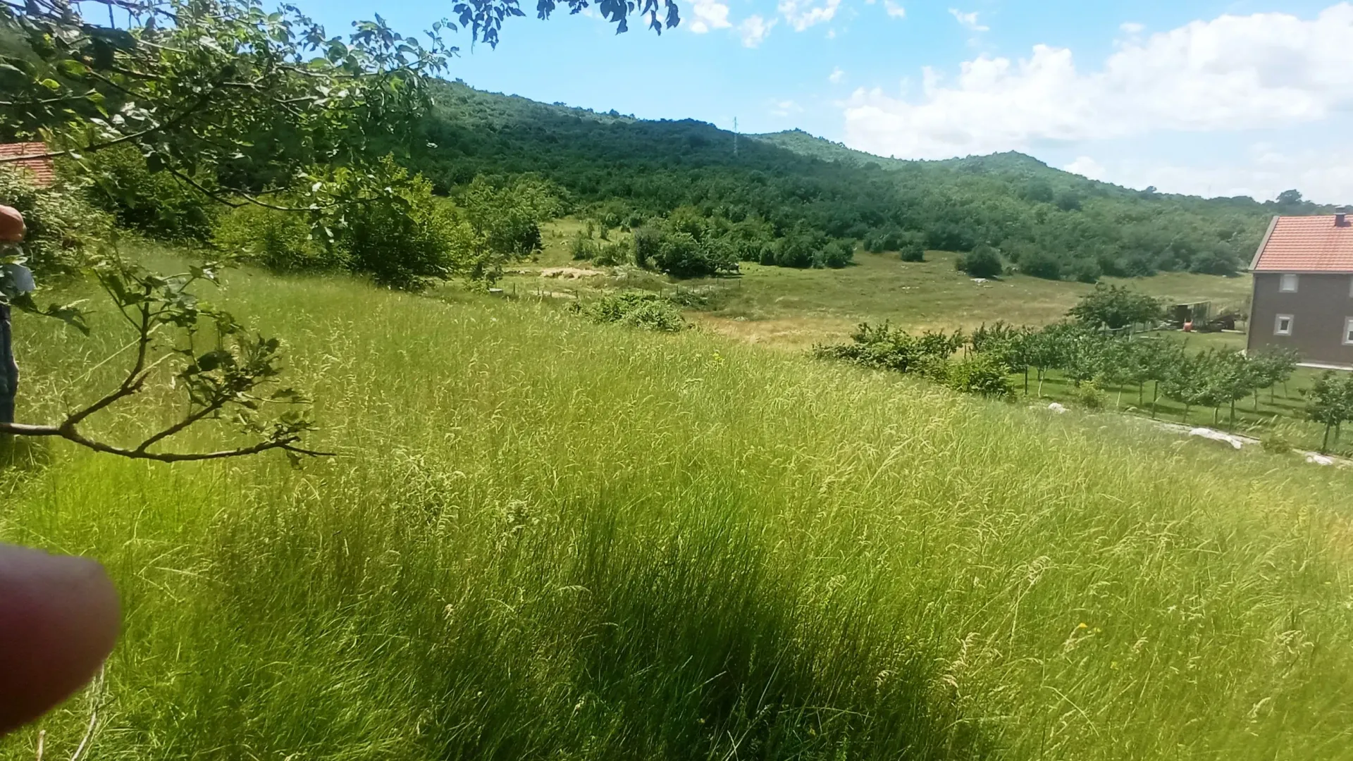 Prodaja, plac, 1500m², Ozrinići, Nikšić