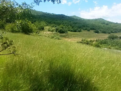 Prodaja, plac, 1500m², Ozrinići, Nikšić - image 10