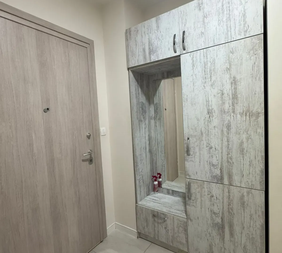 Rent, one bedroom apartment, 50m², Central Point, Podgorica