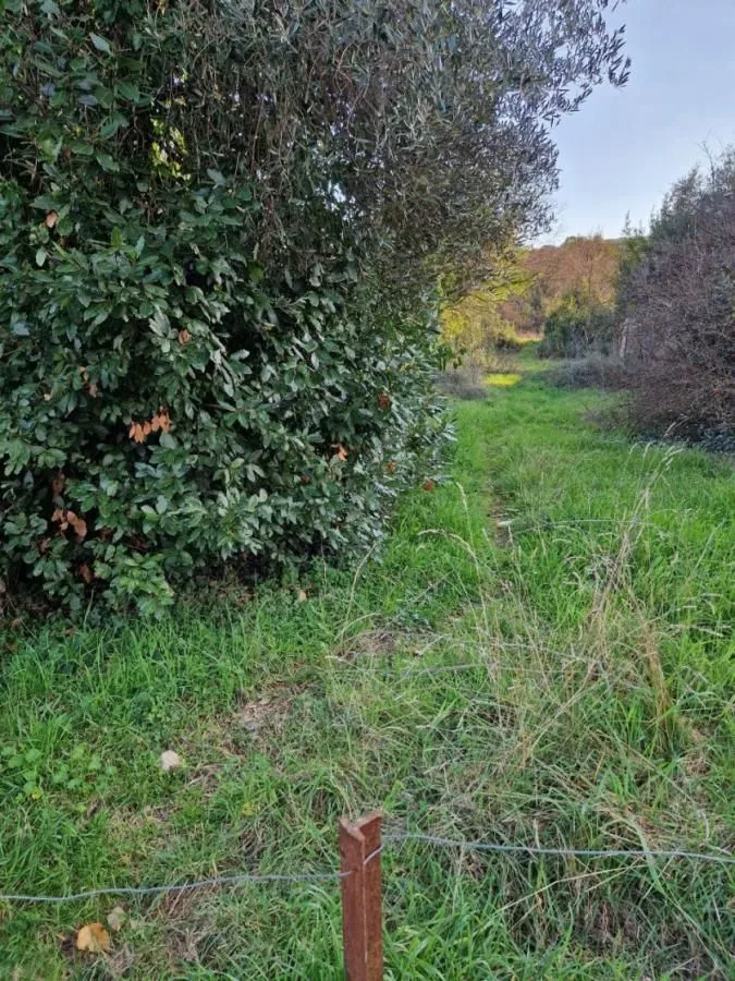 Prodaja, plac, 700m², Radovići, Tivat