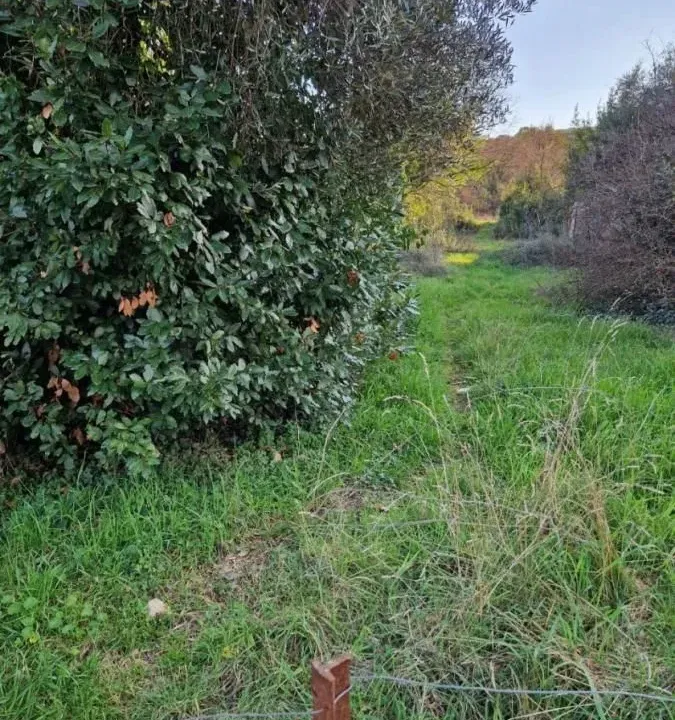 Sale, land lot, 700m², Radovići, Tivat