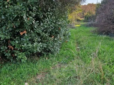 Sale, land lot, 700m², Radovići, Tivat