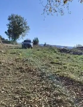 Prodaja, plac, 1227m², Dobra Voda, Budva - image 2