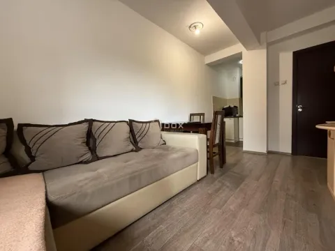 Rent, one bedroom apartment, 28m², Pantelej, Niš - image 4
