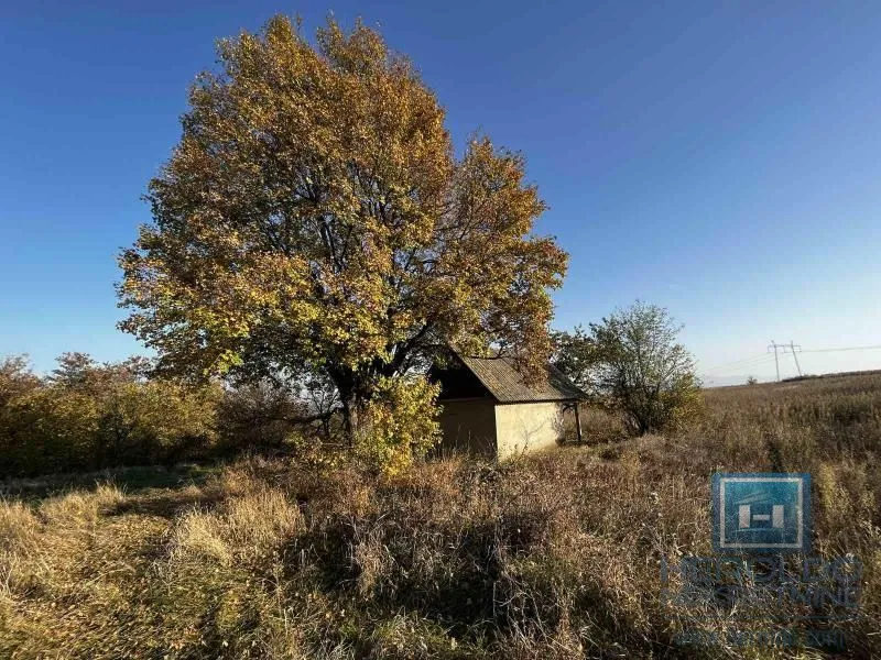 Prodaja, kuća, 20m², Lozovik, Jagodina