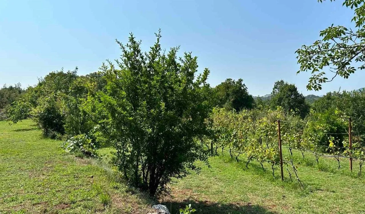 Prodaja, kuća, 120m², Cetinje, Crna Gora
