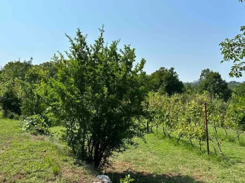 Prodaja, kuća, 120m², Cetinje, Crna Gora - image 4