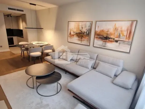 Rent, two bedroom apartment, 55m², Novi Beograd Blok 64, Novi Beograd Sve Podlokacije - image 4