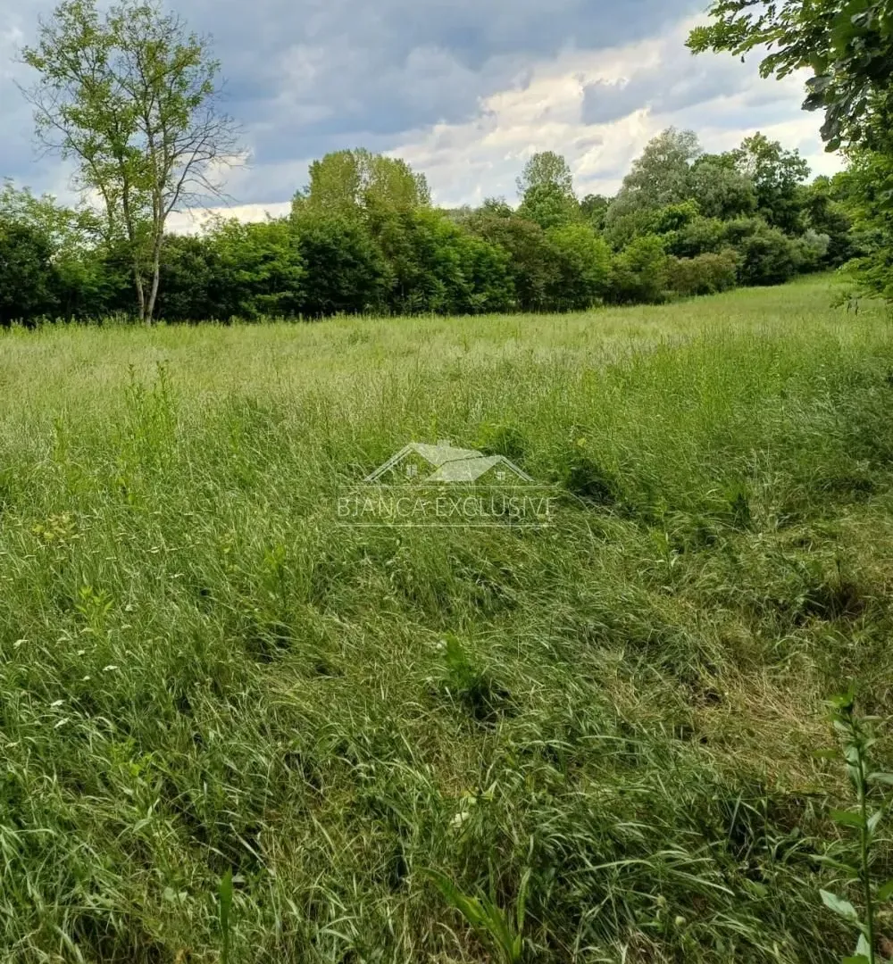 Sale, land lot, 3600m², Trstenica, Obrenovac