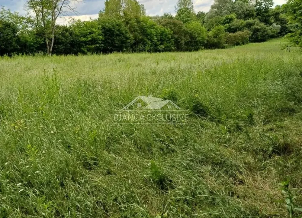 Prodaja, plac, 3600m², Trstenica, Obrenovac