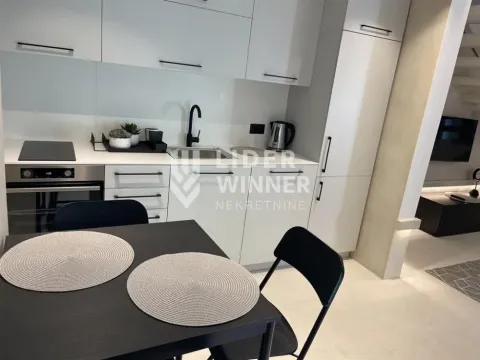 Izdavanje, kuća, 48m², Vračar Sve Podlokacije, Beograd - image 7