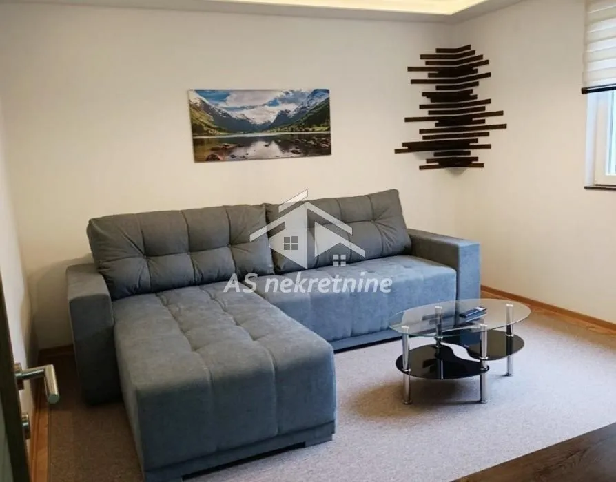Izdavanje, dvosoban stan, 46m², Banovo Brdo, Beograd
