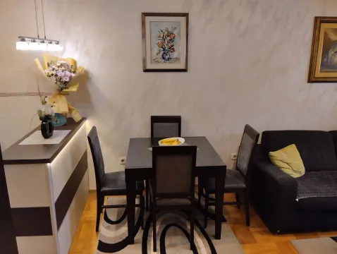 Rent, one bedroom apartment, 59m², Central Point, Podgorica - image 125
