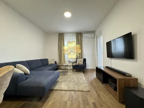 Rent, one bedroom apartment, 50m², Stari Aerodrom, Podgorica - image 1