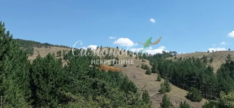 Prodaja, plac, 212100m², Divčibare, Valjevo
