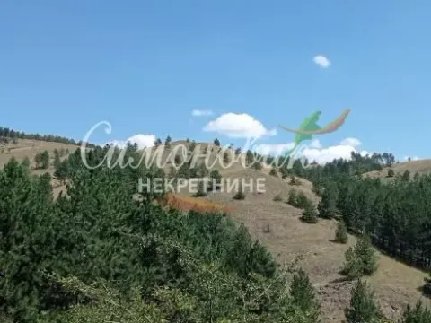 Sale, land lot, 212100m², Divčibare, Valjevo - image 7