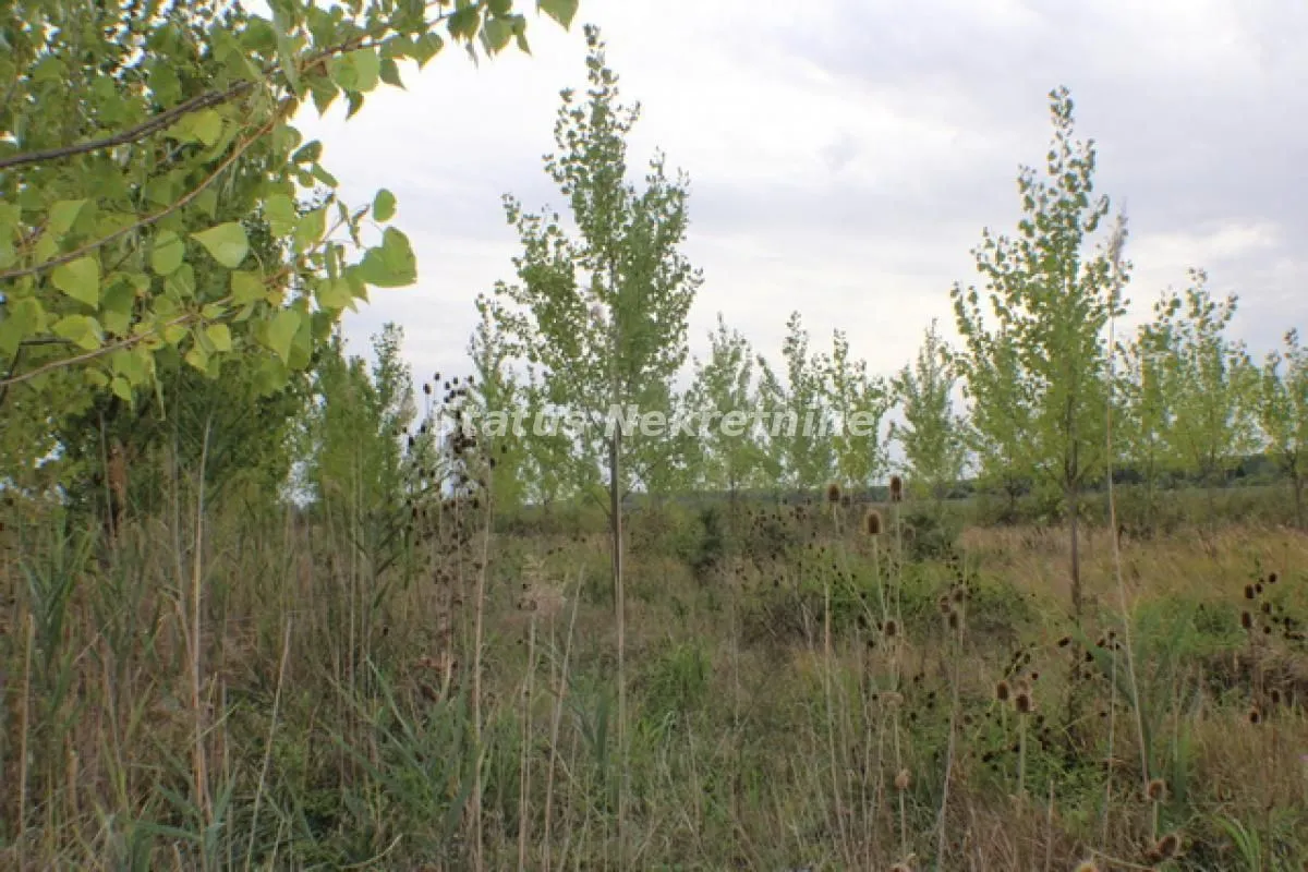 Prodaja, plac, 1378m², Zrenjanin, Srbija