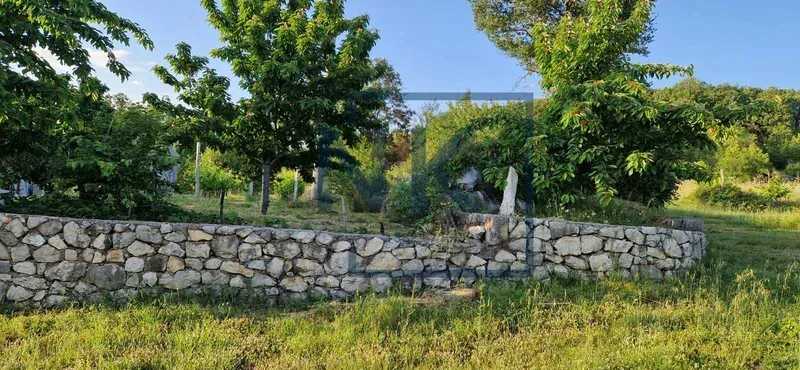 Pogled na zeleno dvorište sa kamenim zidom i drvećem.