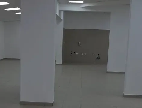 Izdavanje, poslovni prostor, 320m², Dušanovac, Voždovac Sve Podlokacije - image 5