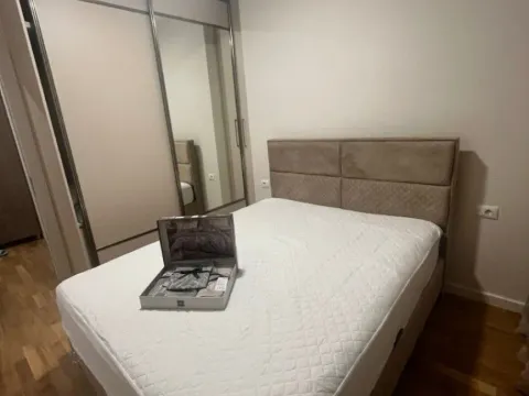 Izdavanje, jednosoban stan, 49m², Zabjelo, Podgorica - image 7