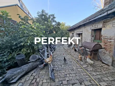 Dvorište sa starom kućom, popločanim stazama i živinom. - image 9