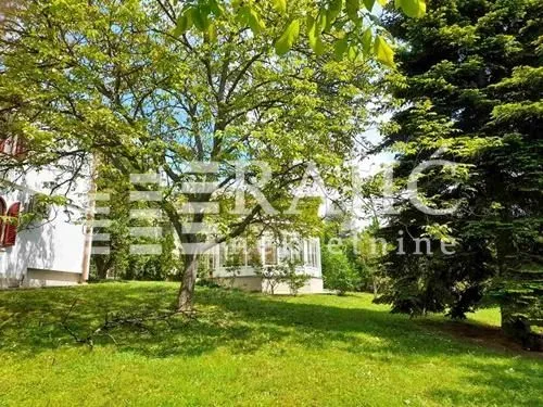 Green yard with trees in front of the house.