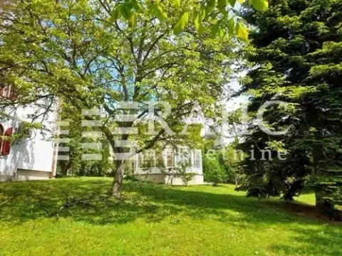 Green yard with trees in front of the house. - image 6