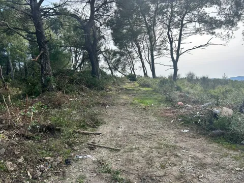 Zemljište sa šumom i prirodnim okruženjem. - image 3