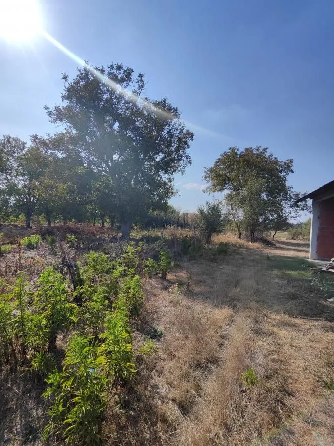 Prodaja, kuća, 96m², Kočino Selo, Jagodina