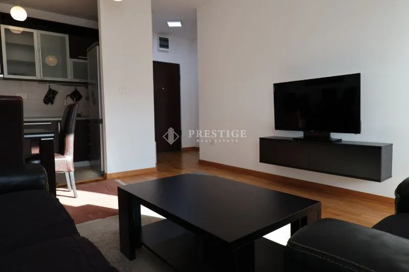 Izdavanje, jednosoban stan, 45m², Zagorič, Podgorica
