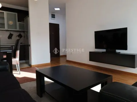 Izdavanje, jednosoban stan, 45m², Zagorič, Podgorica - image 3