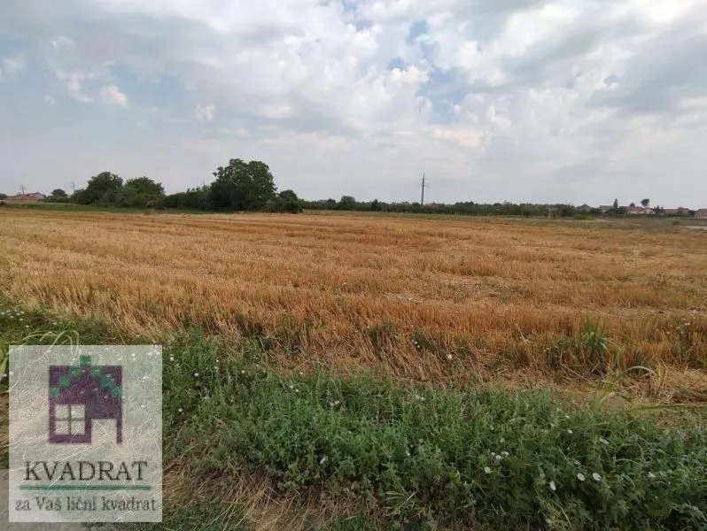 Prodaja, plac, 3600m², Obrenovac, Beograd