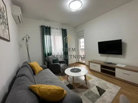Rent, one bedroom apartment, 45m², Stari Aerodrom, Podgorica - image 12