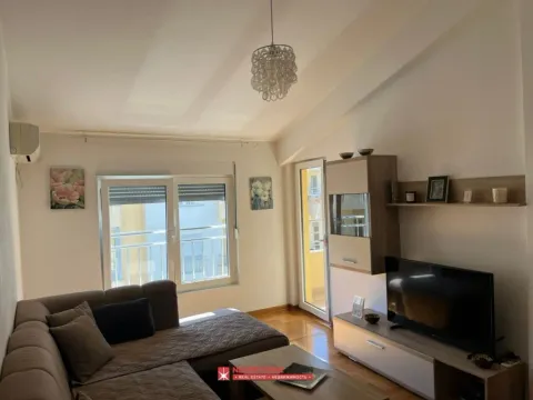 Izdavanje, jednosoban stan, 42m², Golubovina, Budva - image 2