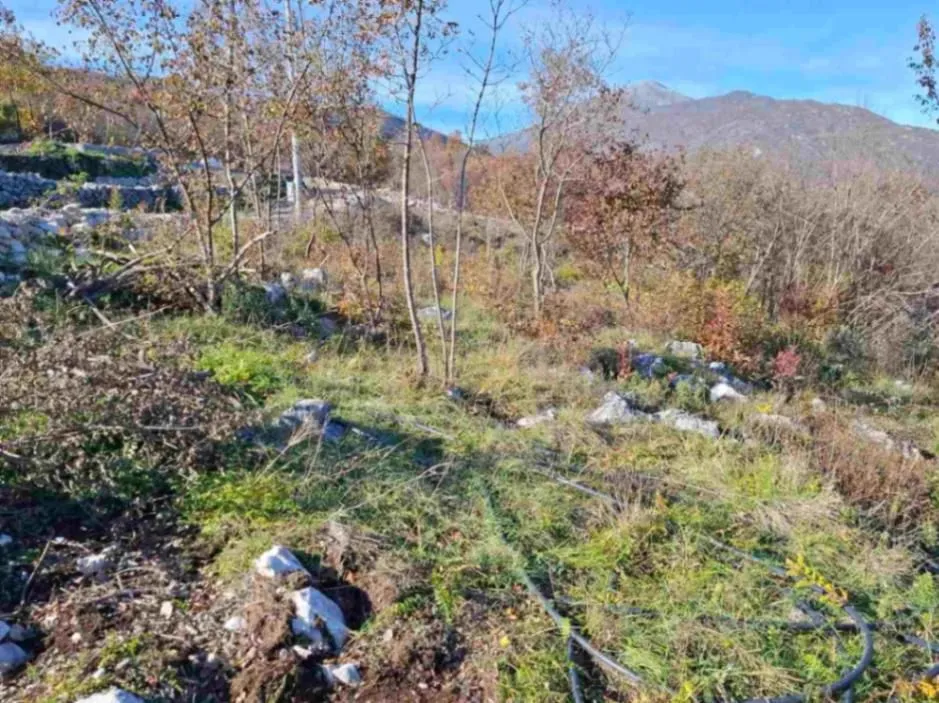 Prodaja, plac, 5000m², Bandići, Danilovgrad