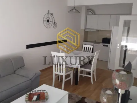 Rent, one bedroom apartment, 46m², Zabjelo, Podgorica - image 9