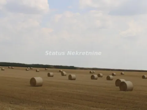 Sale, land lot, 240m², Čenej, Novi Sad Sve Podlokacije