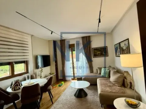 Izdavanje, jednosoban stan, 49m², Vezirov Most, Podgorica - image 1