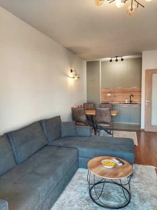 Rent, one bedroom apartment, 49m², Master Kvart, Podgorica