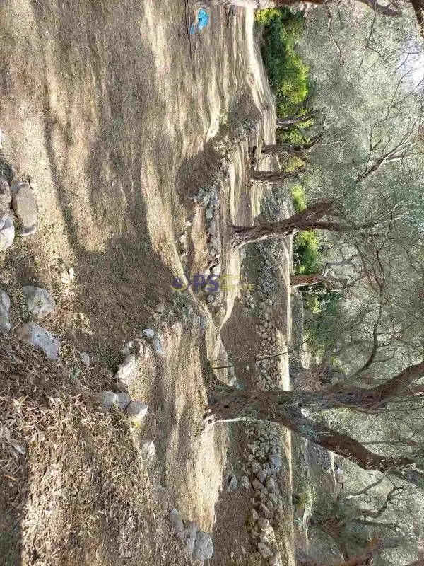 Prodaja, plac, 3500m², Bar, Crna Gora
