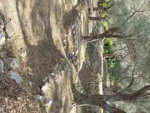 Prodaja, plac, 3500m², Bar, Crna Gora - image 5