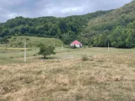 Sale, land lot, 9000m², Blatina, Kolašin - image 1