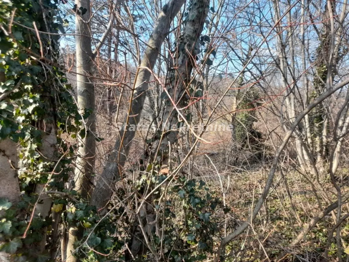 Prodaja, plac, 1088m², Sremska Kamenica, Petrovaradin