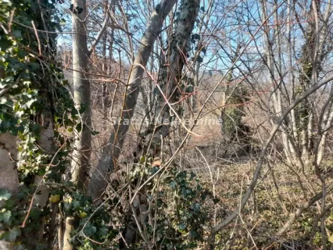 Prodaja, plac, 1000m², Sremska Kamenica, Petrovaradin - image 14