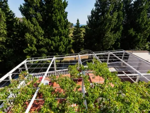 Sale, house, 431m², Zagrađe, Bar - image 8