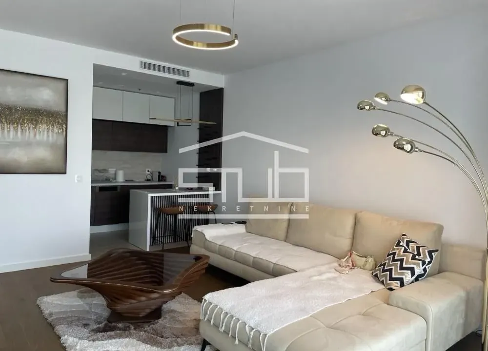 Izdavanje, dvosoban stan, 60m², Novi Beograd Blok 65, Novi Beograd Sve Podlokacije