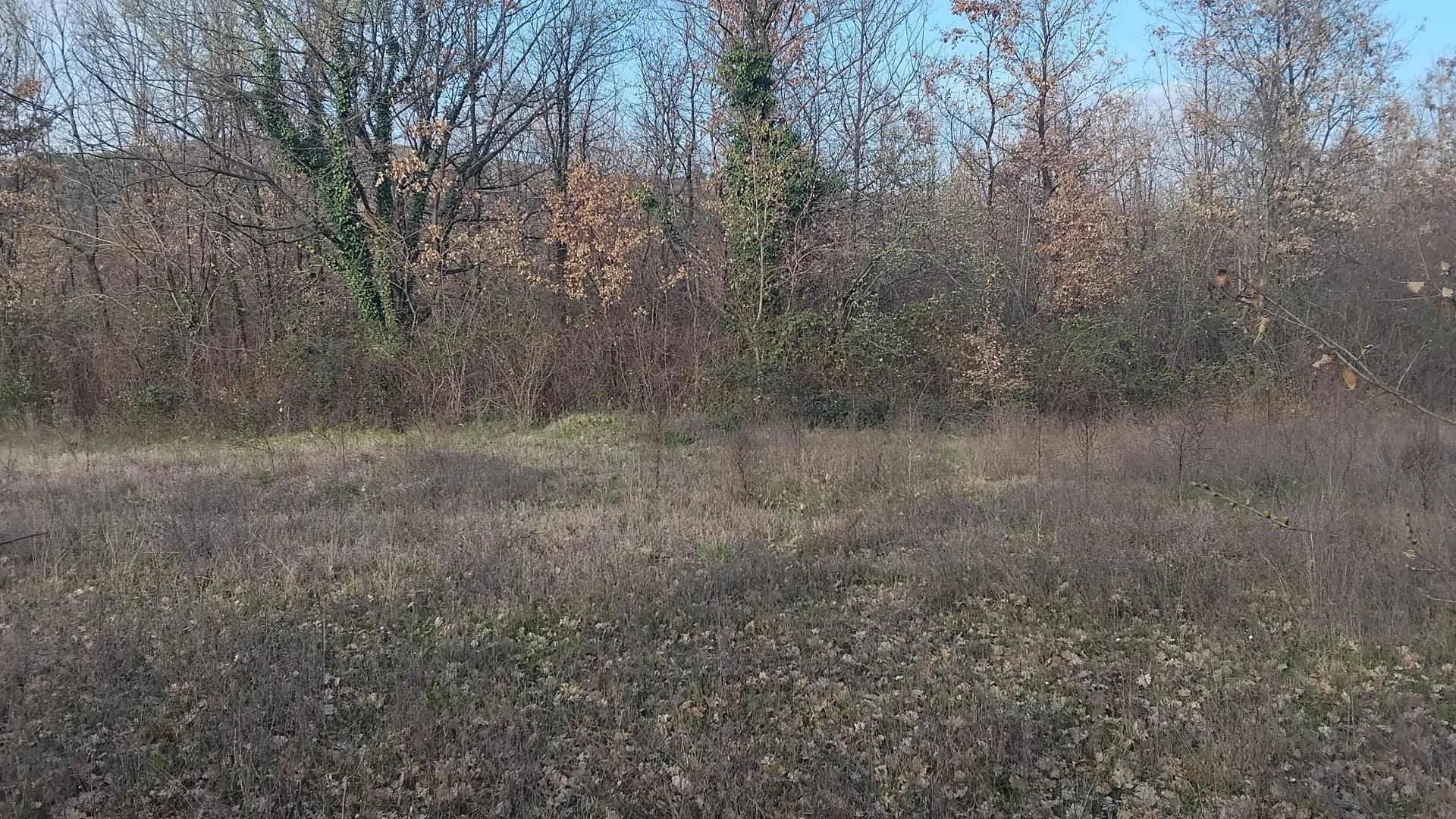 Prodaja, plac, 2400m², Dajbabe, Podgorica