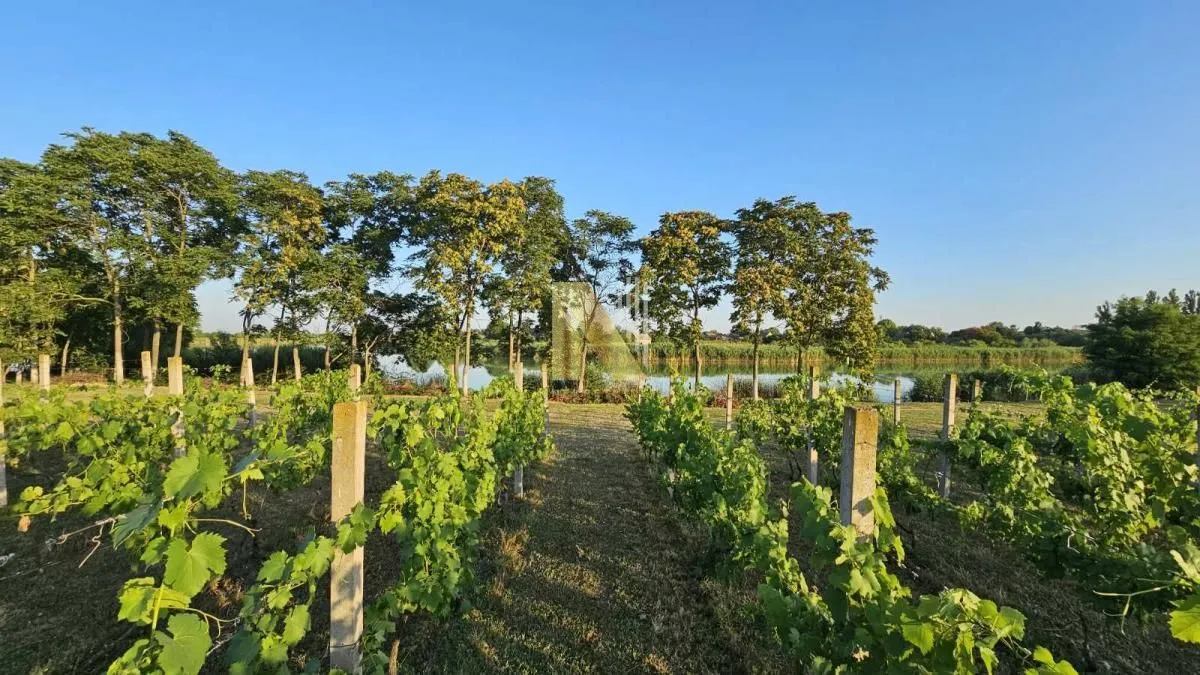 Prodaja, kuća, 230m², Srbobran, Novi Sad