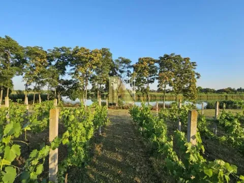 Sale, house, 230m², Srbobran, Novi Sad - image 61