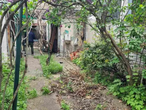 Kuća in Zemun Sve Podlokacije